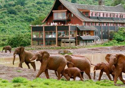 kenia-aberdares-the-ark-mit-elefanten