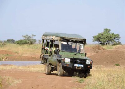 kenia-nairobi-nationalpark-pirschfahrt