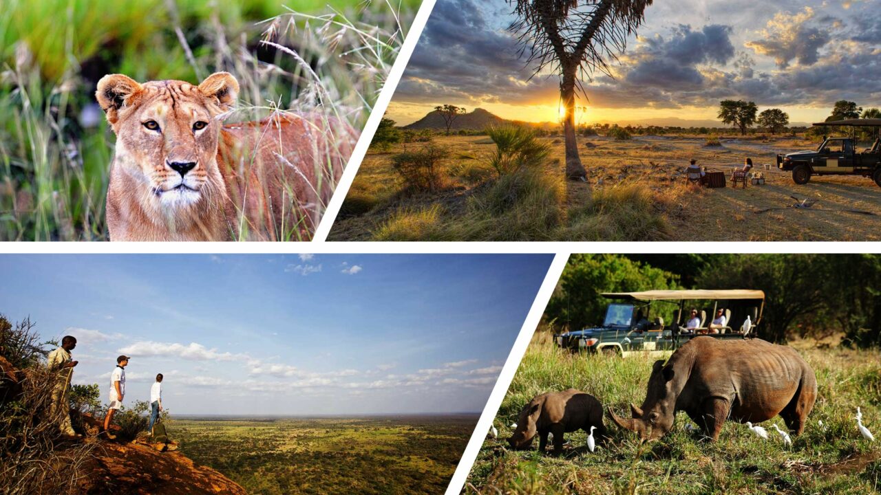 Meru Nationalpark CHUITours