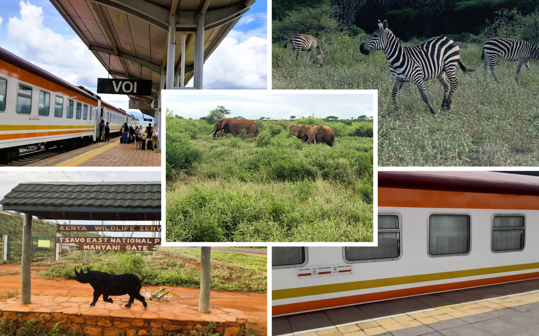 Der Madaraka Express – mit dem Zug durch Kenia