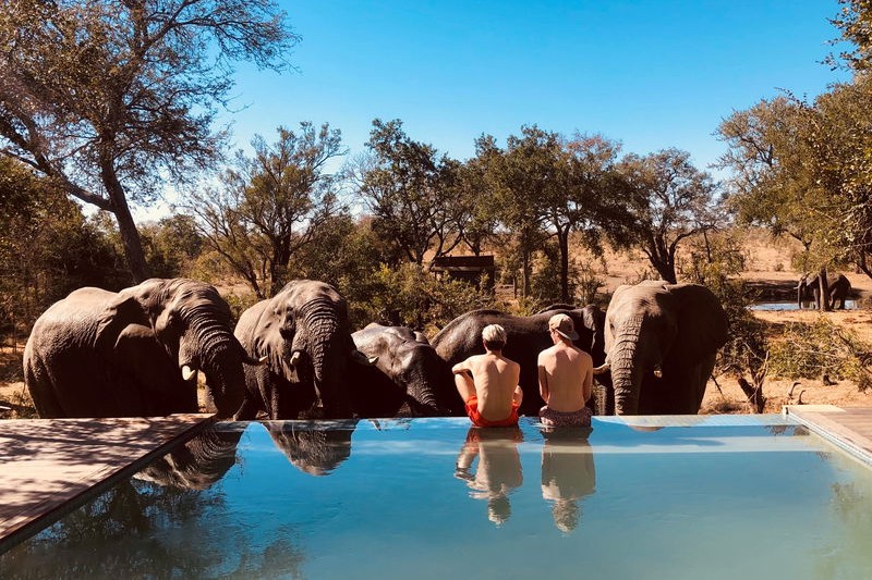 Honeyguide-Khoka-Moya-Pool-mit-Elefanten 2Friends-Beach-Hotel-Bad