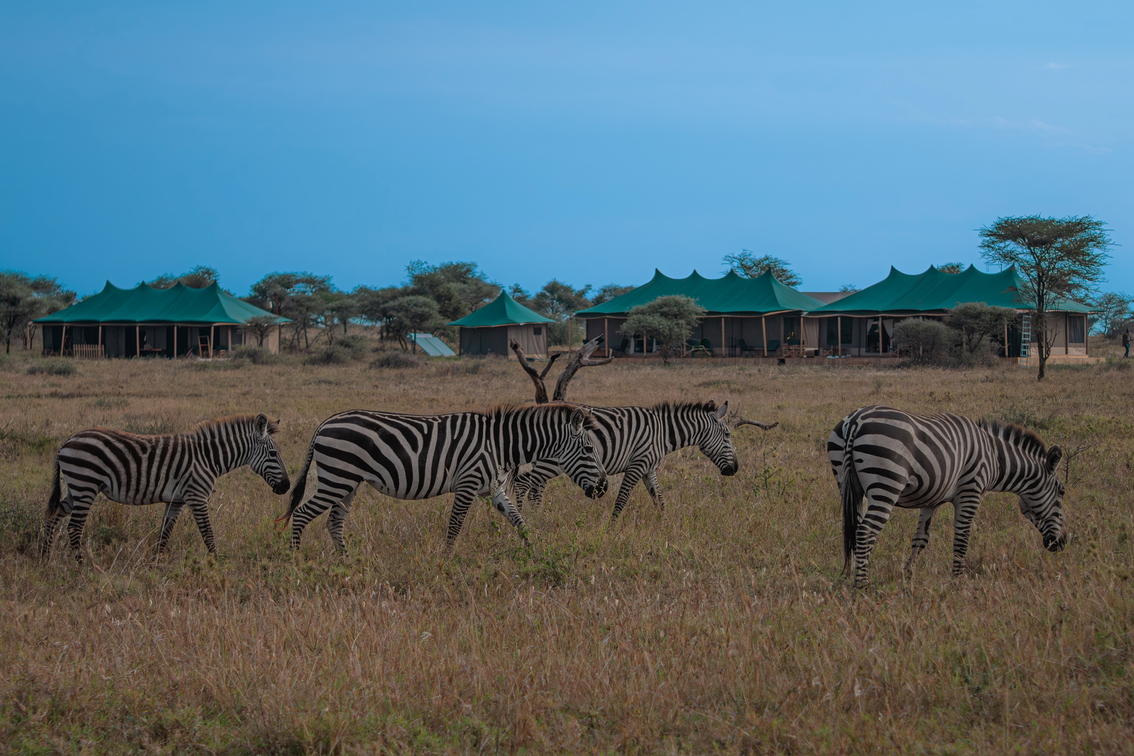 2Friends-Beach-Hotel-aussen