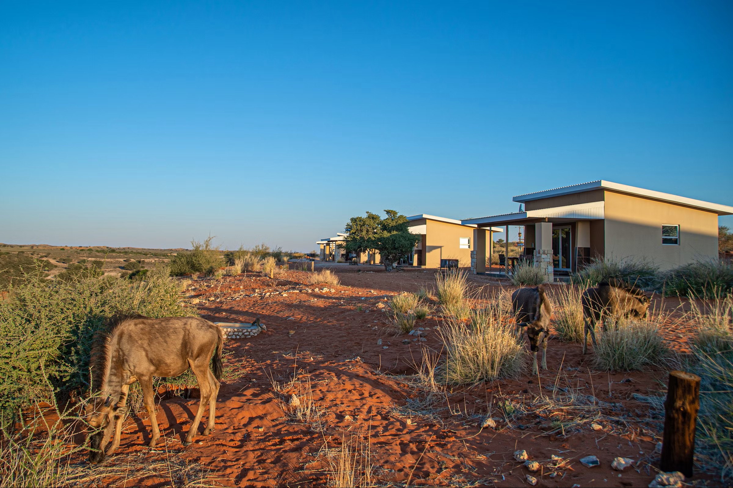 2Friends-Beach-Hotel-aussen